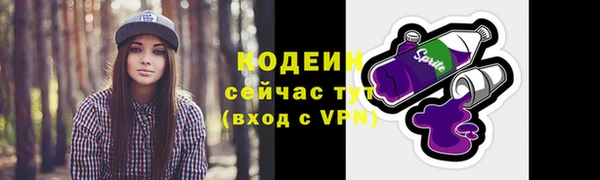ECSTASY Сафоново