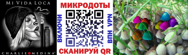 Псилоцибиновые грибы мухоморы  где купить наркоту  Суздаль 